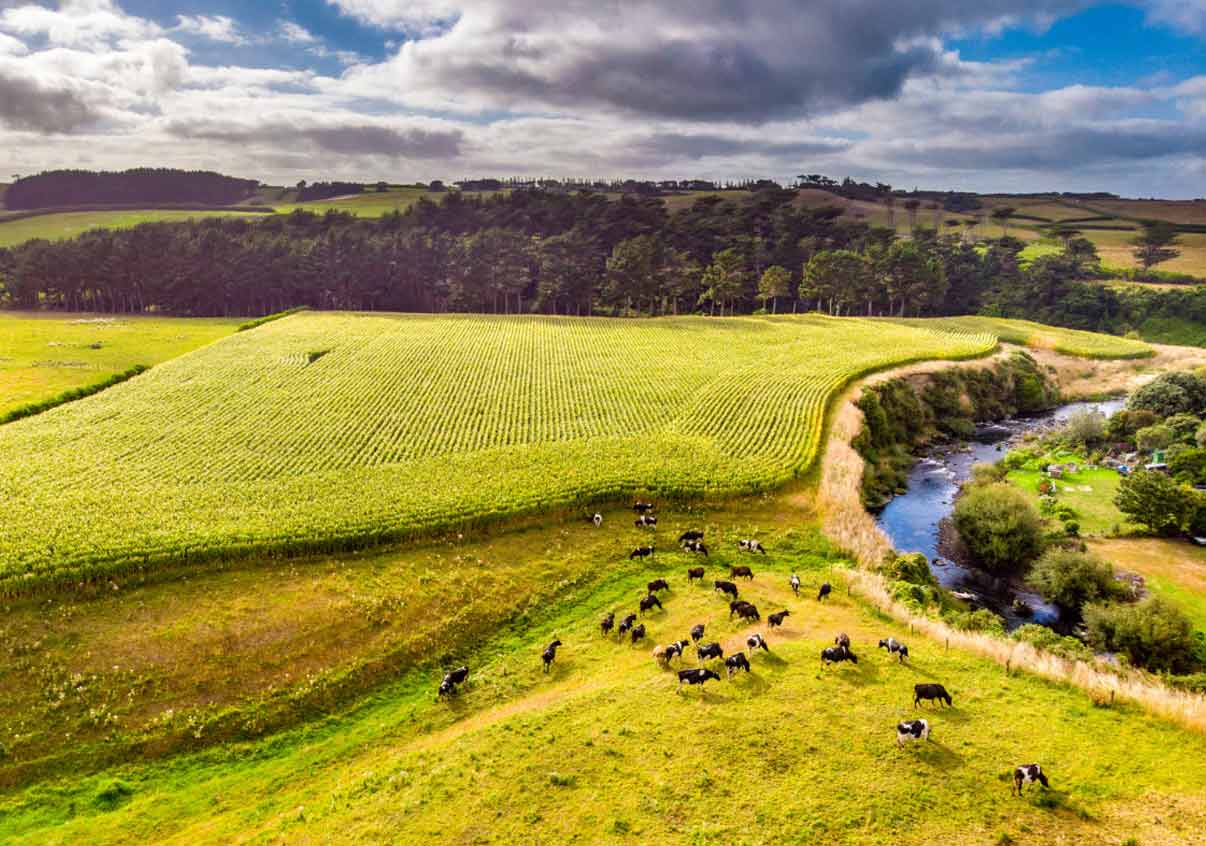 rural arial view of Taranaki