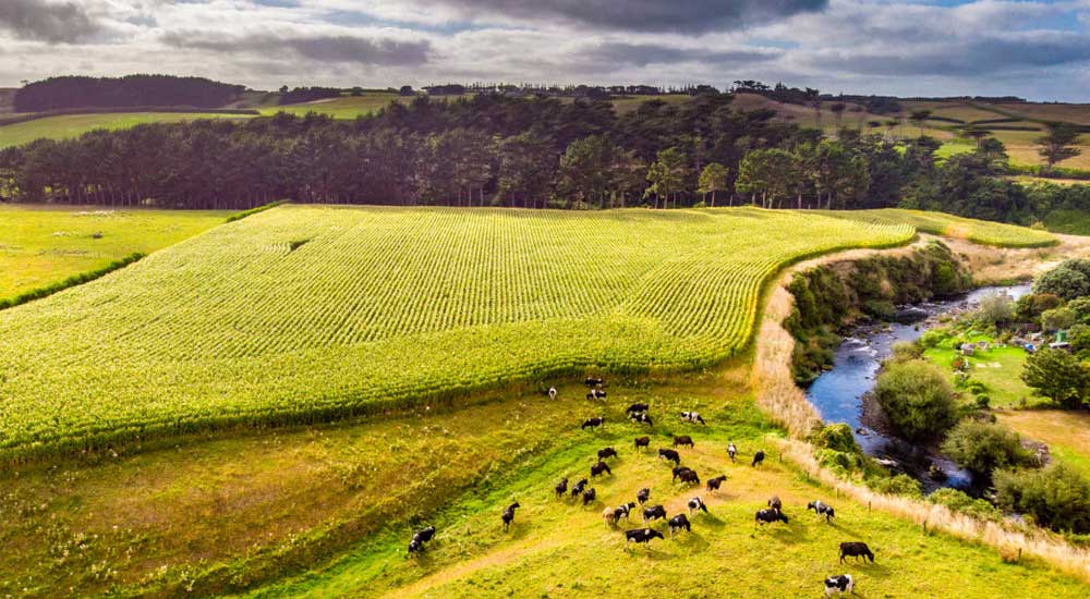 arial view of farm land