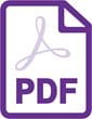 branded pdf file image