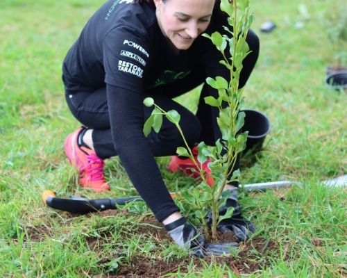 Powerco team member planting a tree