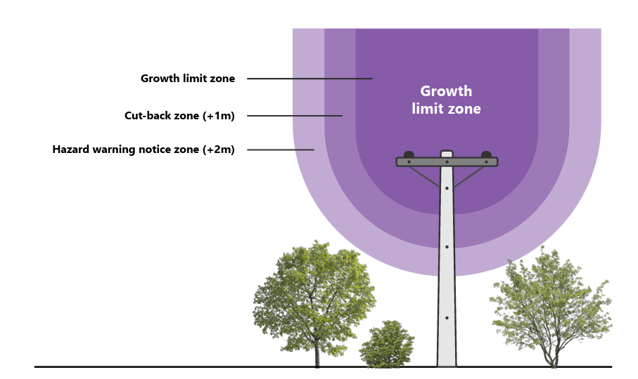 Growth limit zone