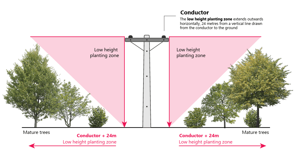 Low height planting zone