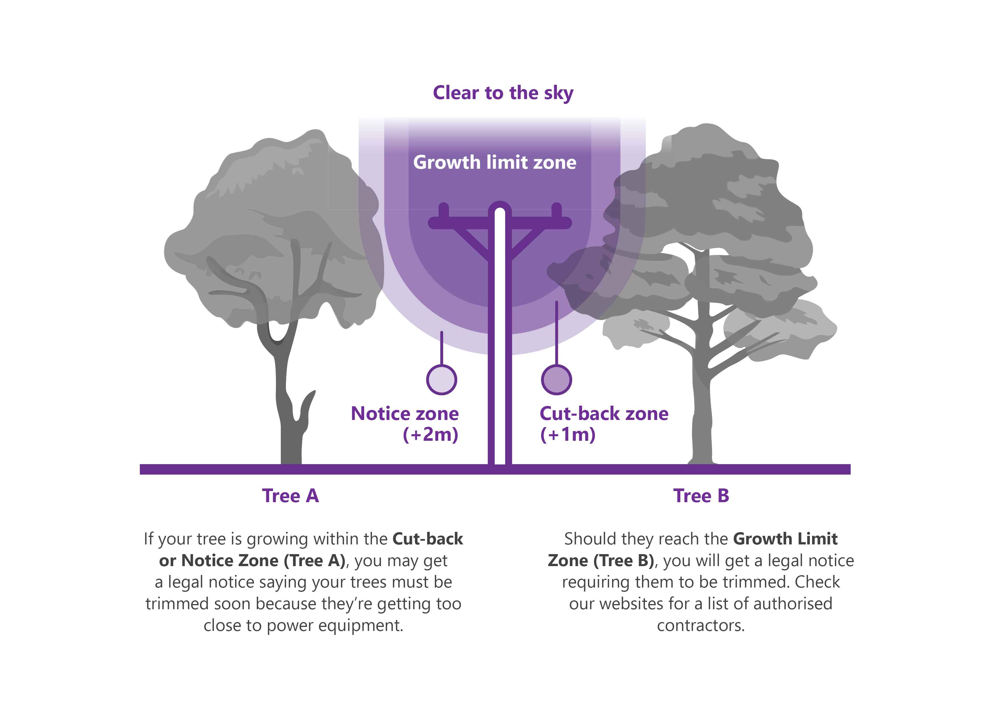 tree regulation diagram