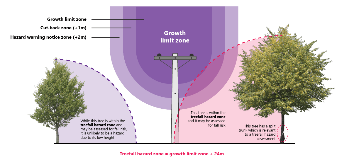 Treefall hazard zone