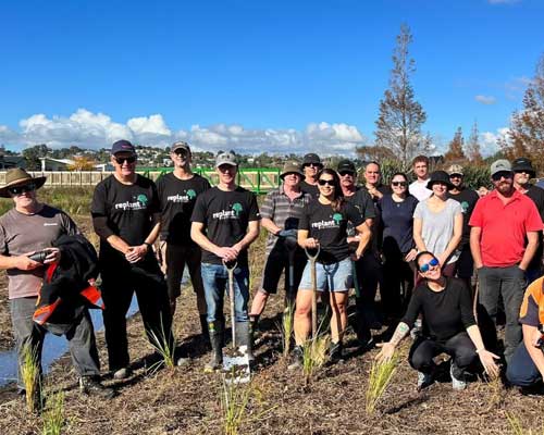 Tauranga staff planting at a Replant for Tomorrow day