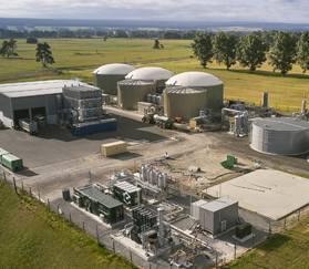 bio gas plant in Reporoa