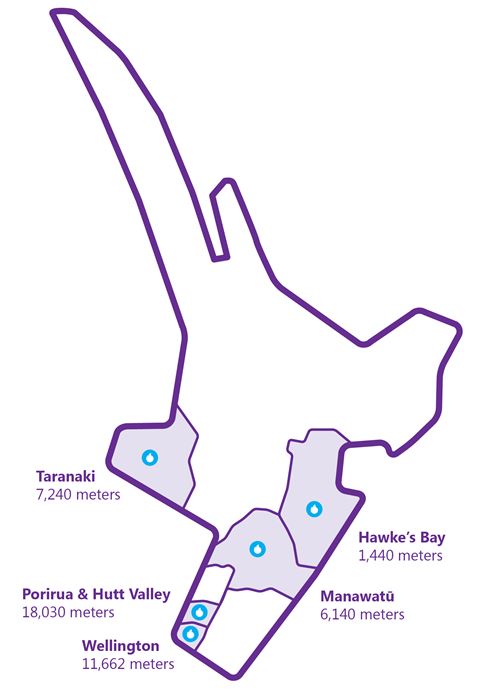Map of Powerco's gas network