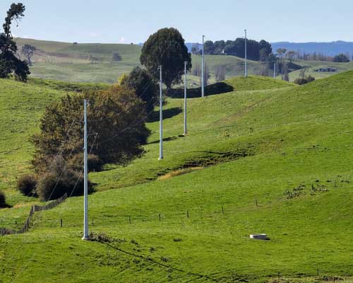 Rural landscape image in the South Waikato